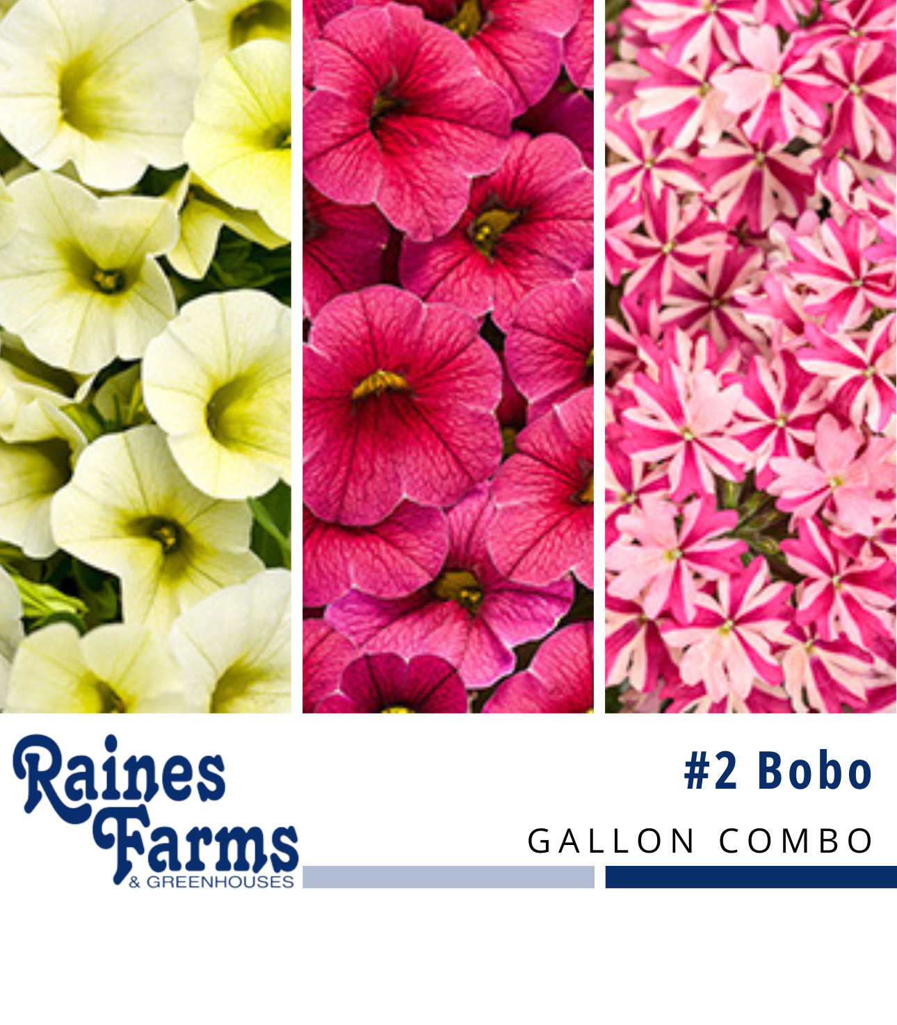 #2: Bobo Gallon Combo Pot